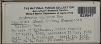 Image Associated With the Occurence